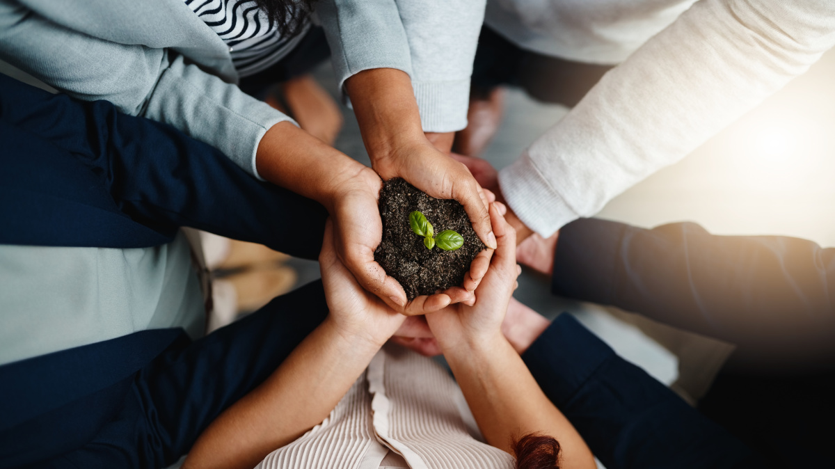 公司与基地照片