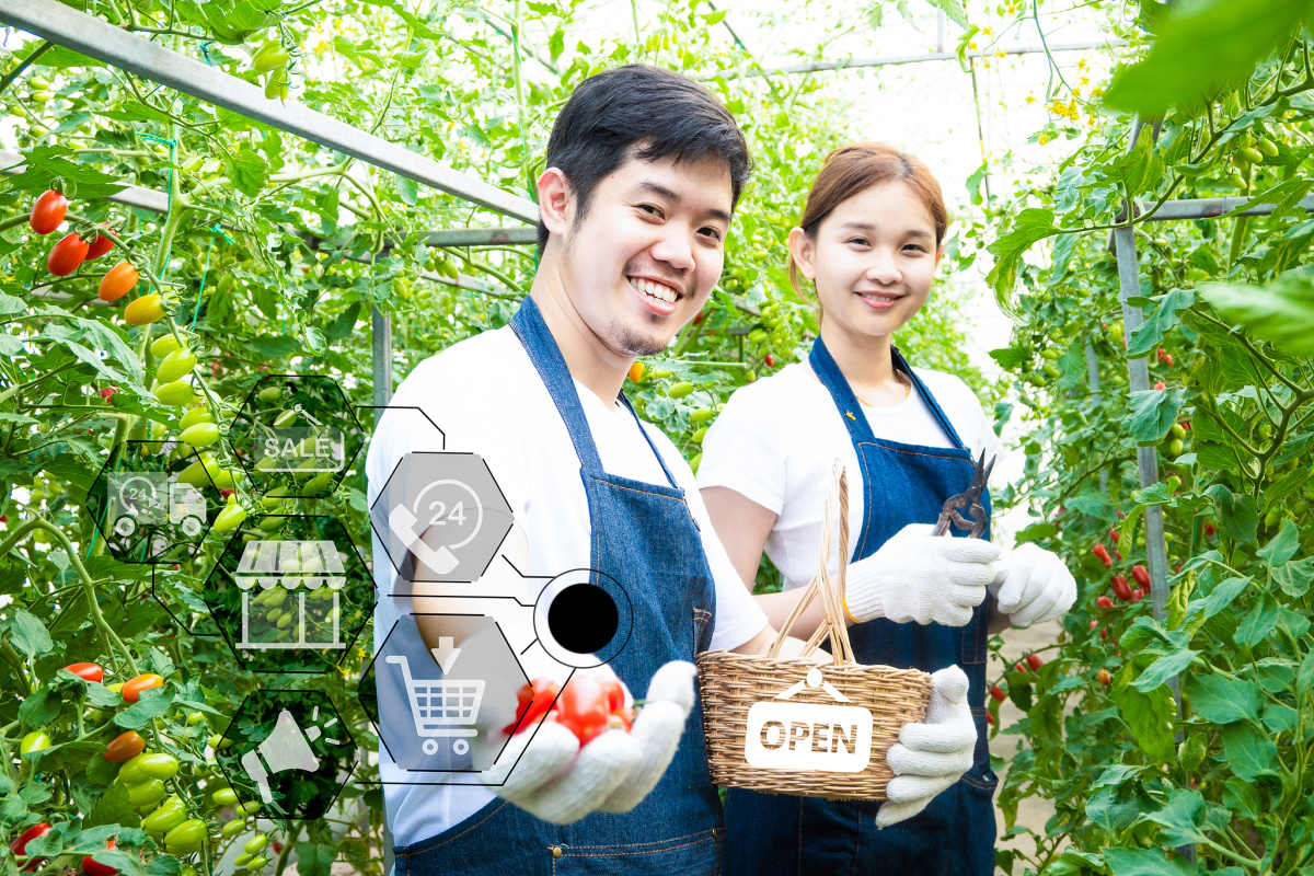 农小禹管理平台